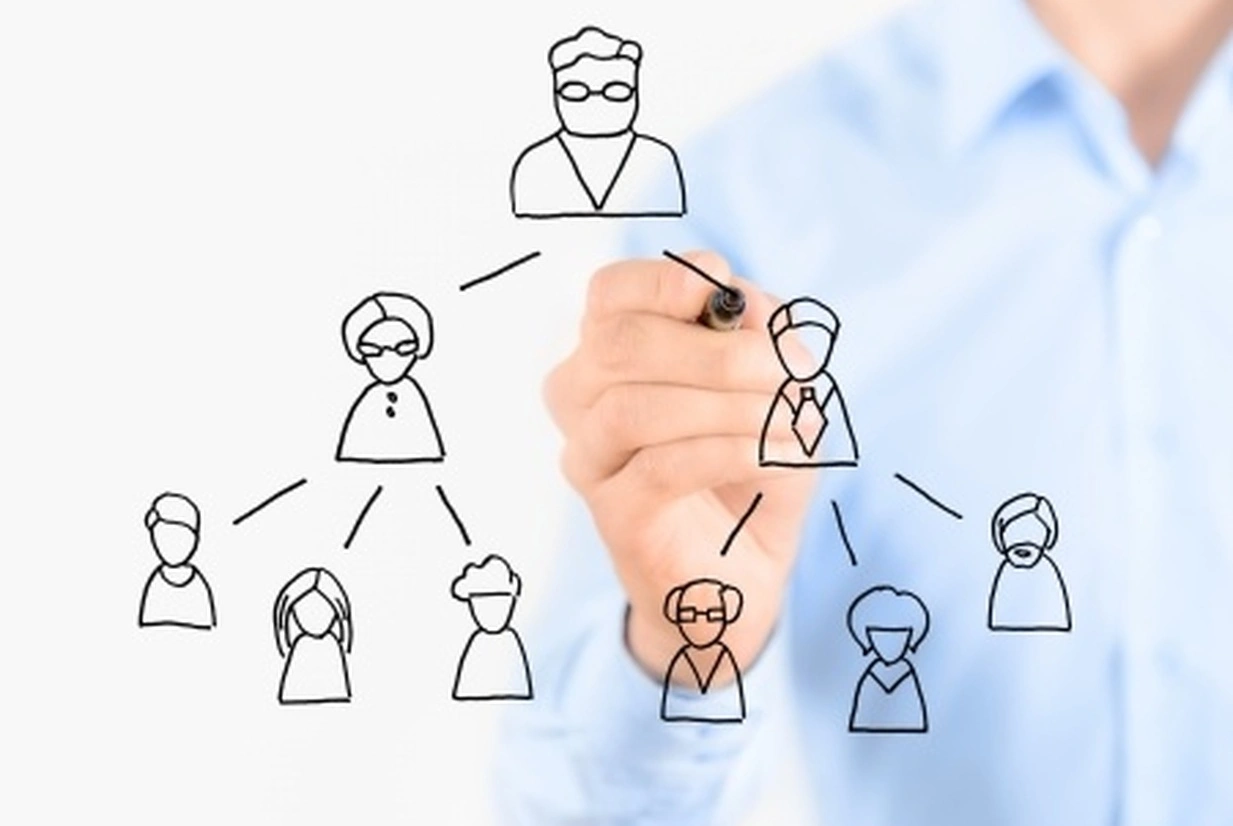 Szkolenia zespołów